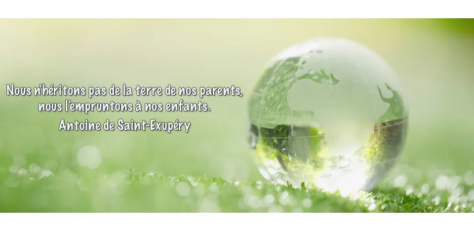 image protegeons la planete avec un site web ecoresponsable francais