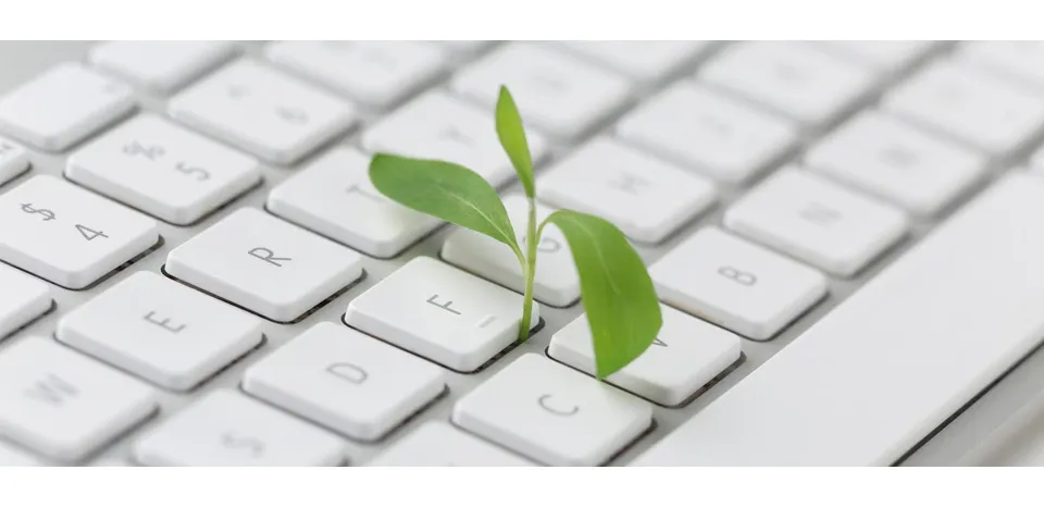 image concept  ecoresponsabilite web pour les entreprises en France